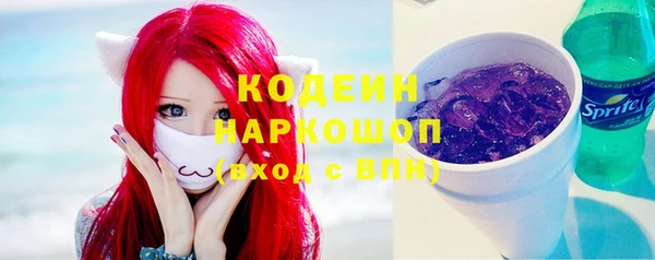 ГАЛЛЮЦИНОГЕННЫЕ ГРИБЫ Горняк