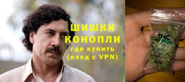 ГАЛЛЮЦИНОГЕННЫЕ ГРИБЫ Горняк