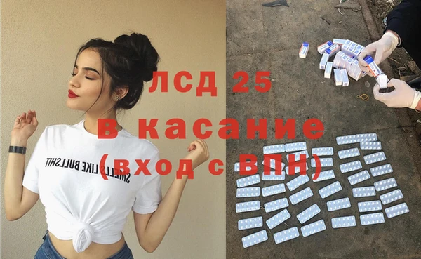 ГАЛЛЮЦИНОГЕННЫЕ ГРИБЫ Горняк