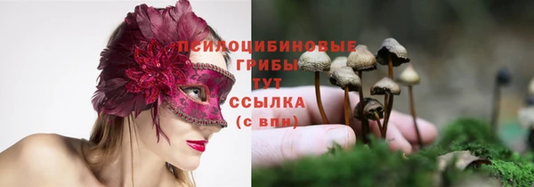 ГАЛЛЮЦИНОГЕННЫЕ ГРИБЫ Горняк