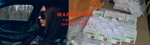 ГАЛЛЮЦИНОГЕННЫЕ ГРИБЫ Горняк