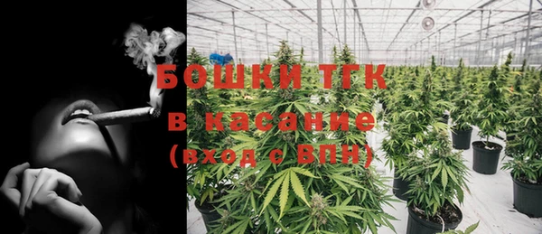 твердый Горно-Алтайск