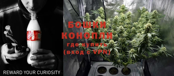 ГАЛЛЮЦИНОГЕННЫЕ ГРИБЫ Горняк