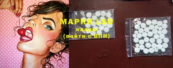 ГАЛЛЮЦИНОГЕННЫЕ ГРИБЫ Горняк