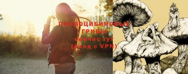 ГАЛЛЮЦИНОГЕННЫЕ ГРИБЫ Горняк
