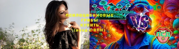 МДМА Горнозаводск