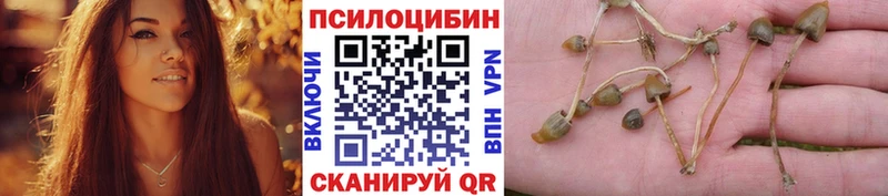 Псилоцибиновые грибы прущие грибы  Купить  Кукмор 